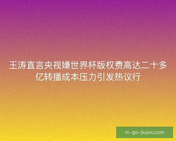 王涛直言央视嫌世界杯版权费高达二十多亿转播成本压力引发热议行