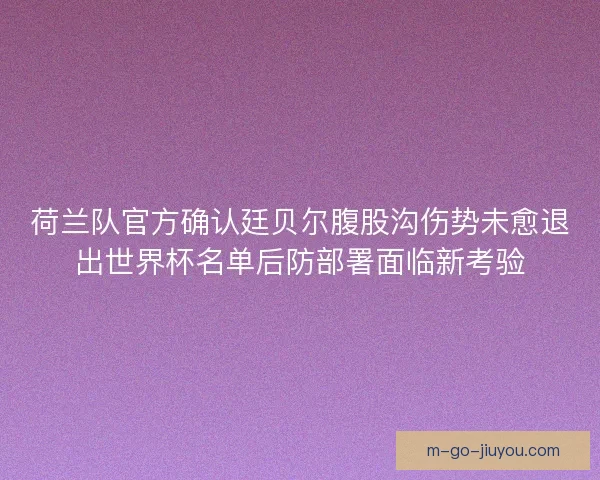 荷兰队官方确认廷贝尔腹股沟伤势未愈退出世界杯名单后防部署面临新考验